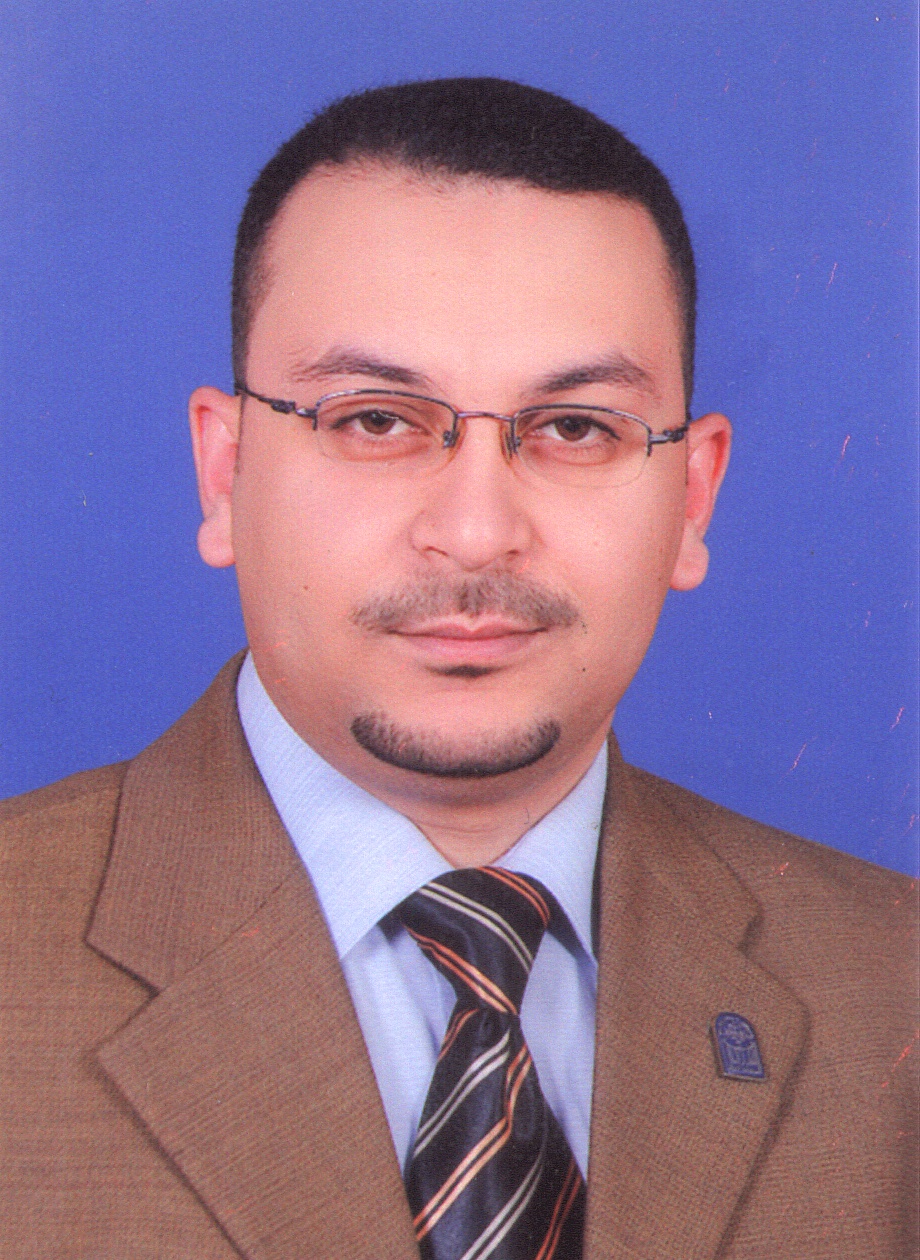 Hassan Fawzy Mohamed Elattar